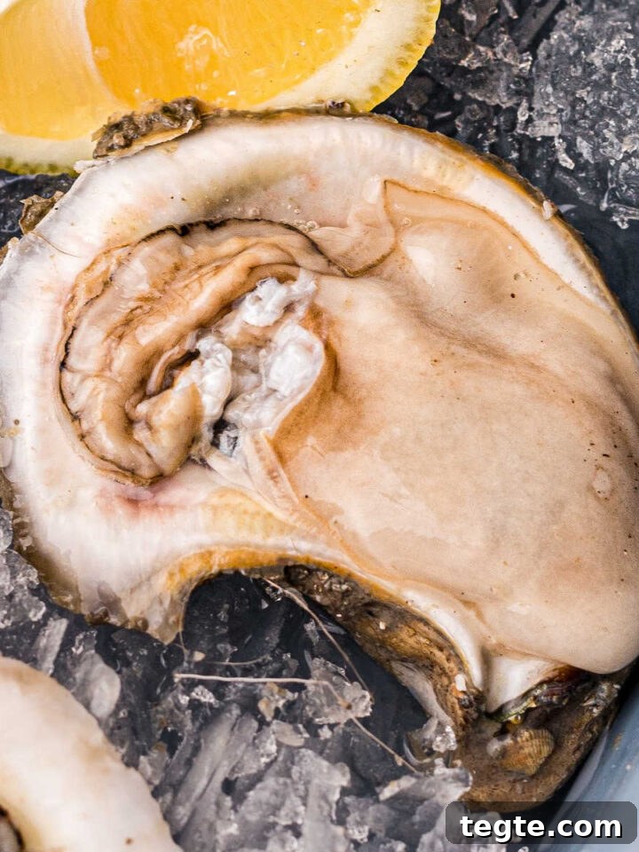 Crispy Oyster Po'Boy Sandwich Recipe for Classic New Orleans Flavor 9 a raw oyster on ice with a lemon in the background