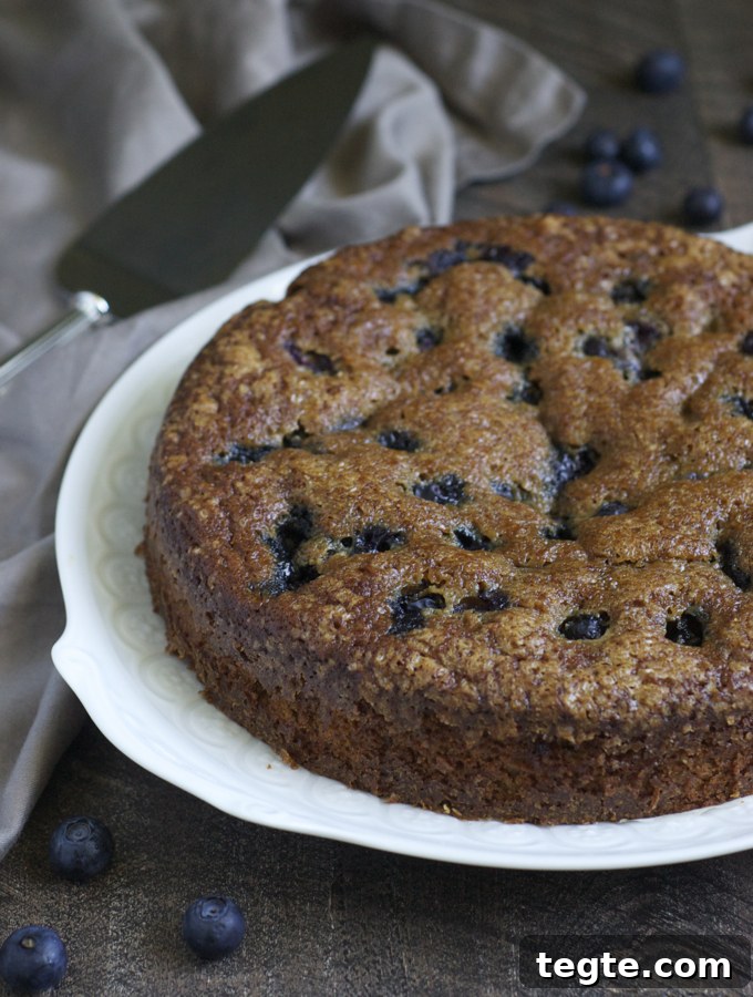 Blueberry Gingerbread Cake with Warm Spices 2 Blueberry Gingerbread