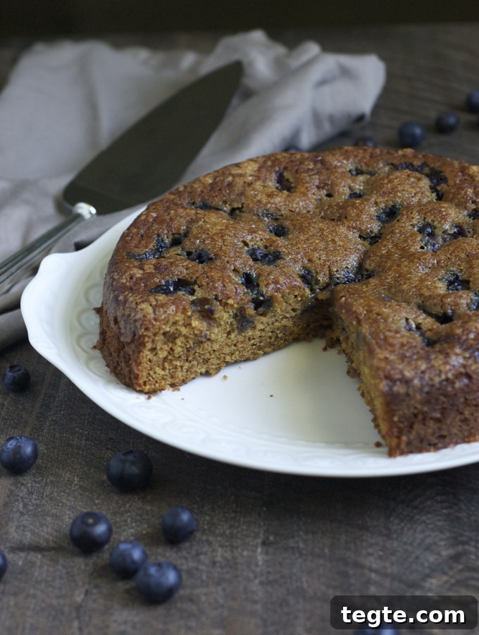 Blueberry Gingerbread Cake with Warm Spices 3 Blueberry Gingerbread
