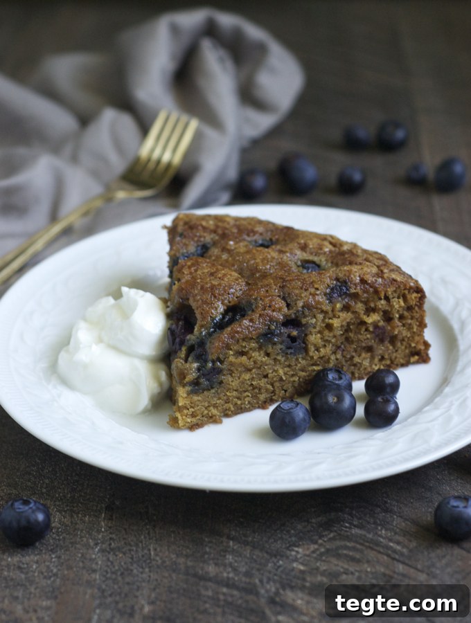 Blueberry Gingerbread Cake with Warm Spices 4 Blueberry Gingerbread