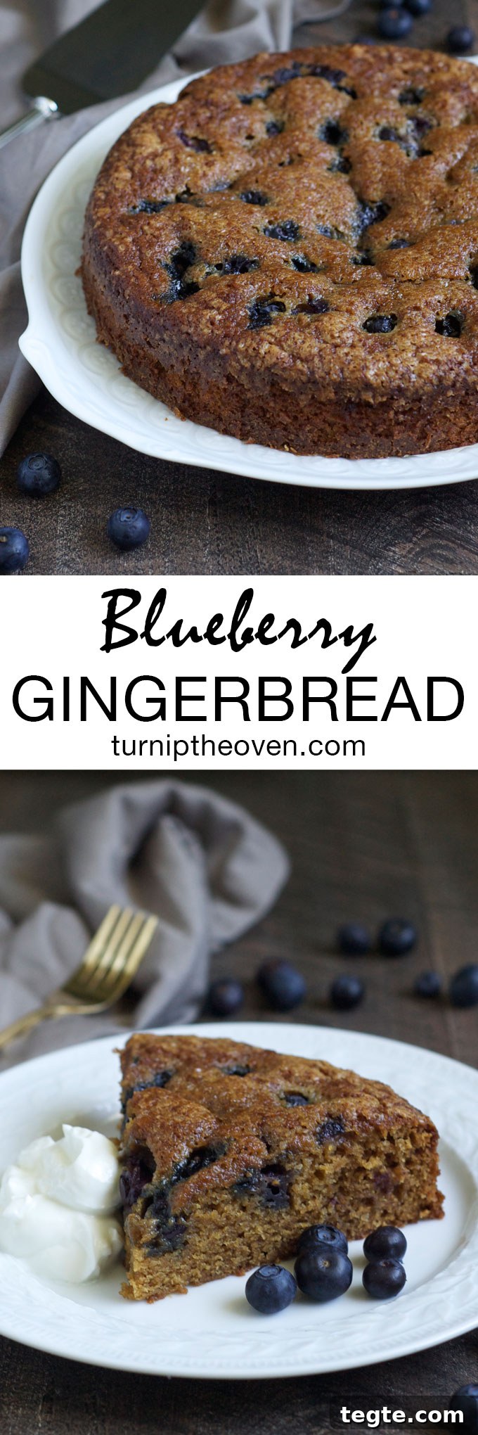 Blueberry Gingerbread Cake with Warm Spices 6 This blueberry gingerbread is the perfect late summer/early fall dessert. Moist, tender cake, lightly spiced with cinnamon and bursting with juicy blueberries!