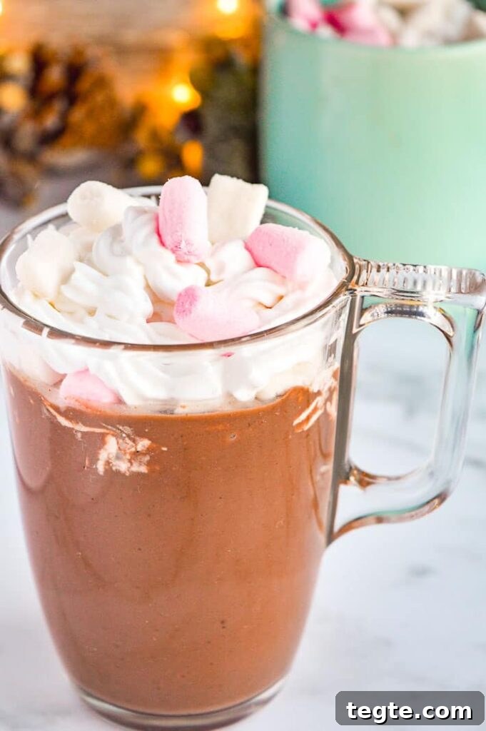 How to Make Spiced Hot Chocolate Mix for Cozy Winter Drinks 6 A glass mug with hot chocolate topped with cream and marshmallows