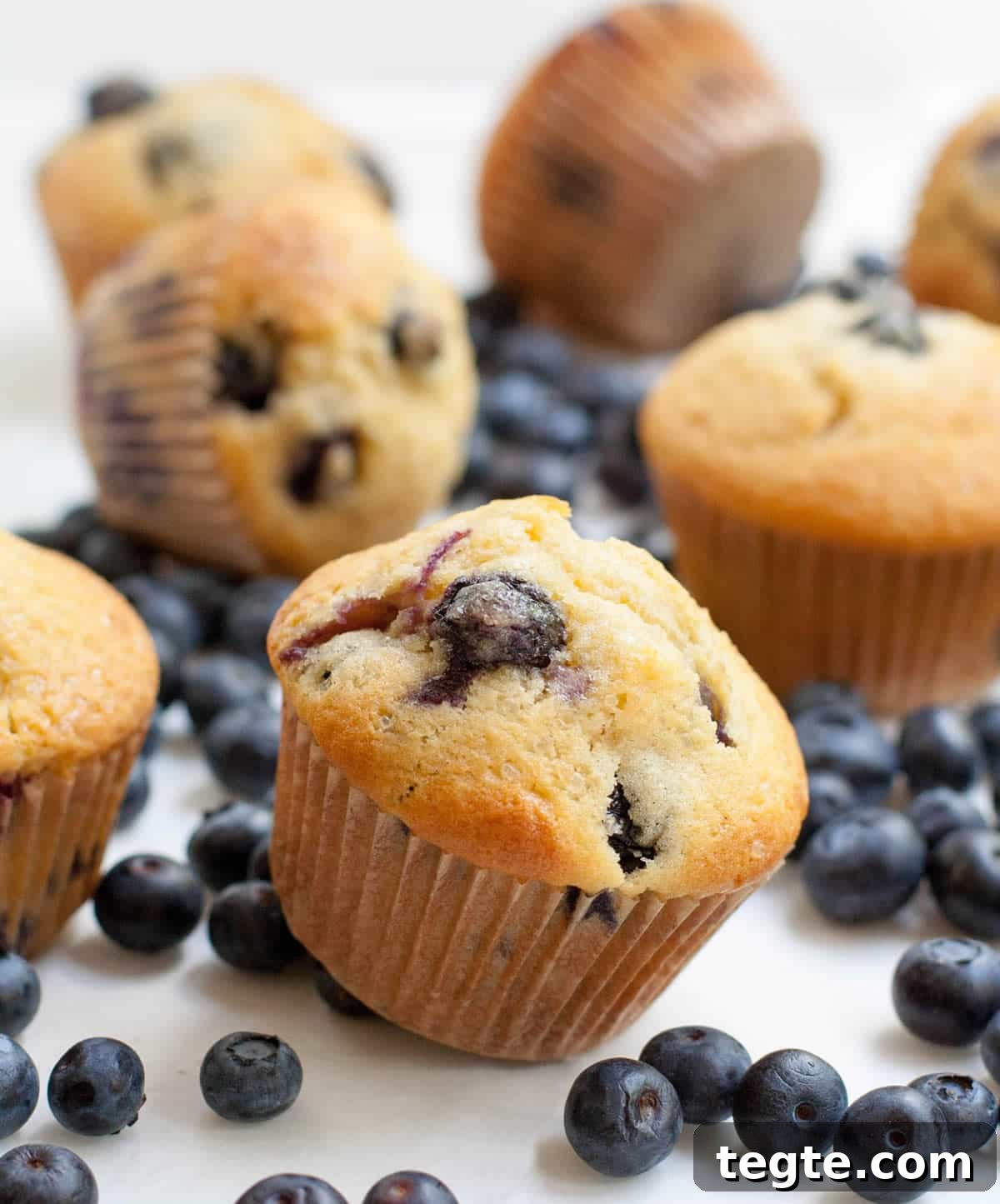 Blueberry Muffins with Cream Cheese Swirls 2 Blueberry Cream Cheese Muffins-9