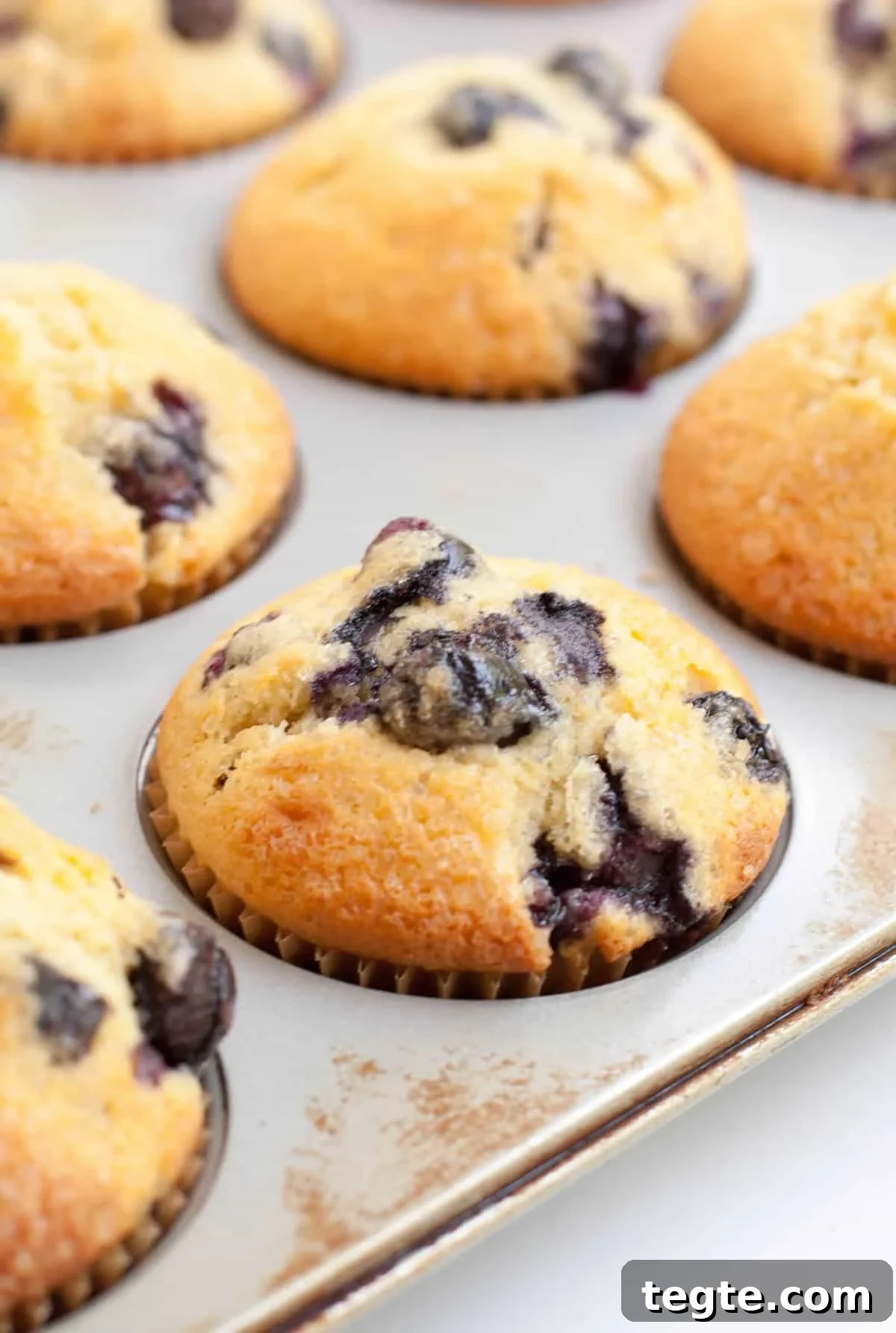 Blueberry Muffins with Cream Cheese Swirls 9 Blueberry Cream Cheese Muffins-7