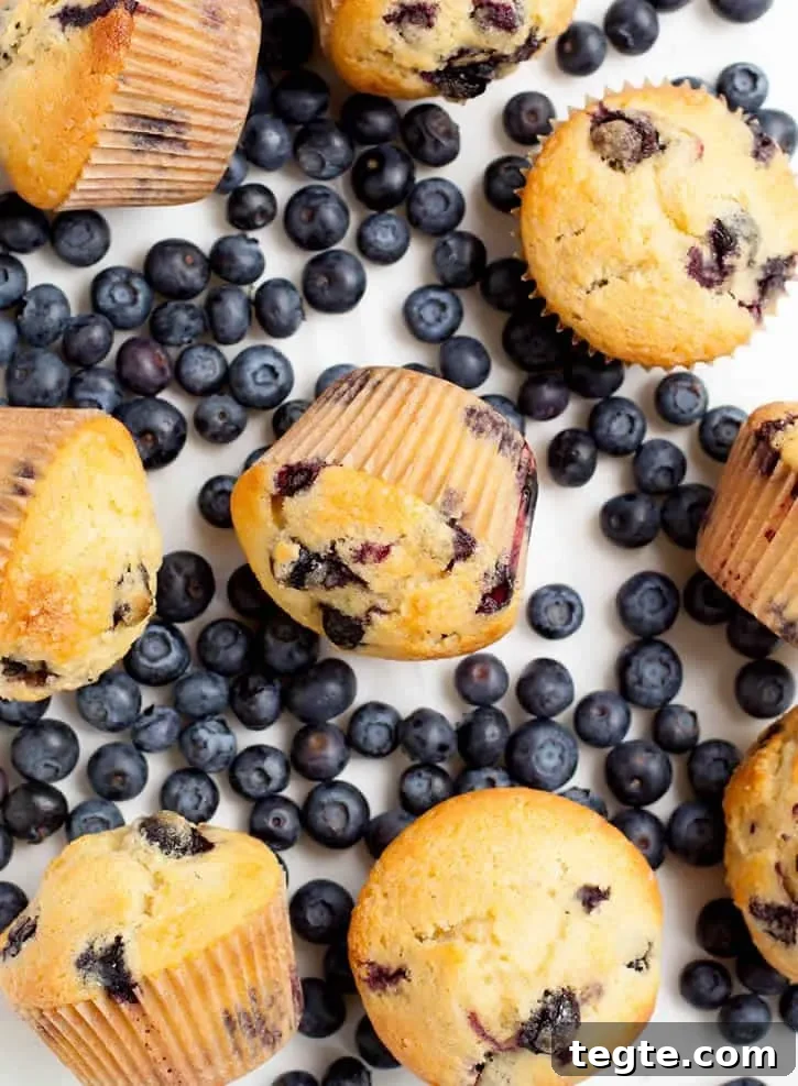 Blueberry Muffins with Cream Cheese Swirls 3 Blueberry Cream Cheese Muffins-11