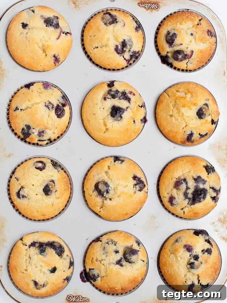 Blueberry Muffins with Cream Cheese Swirls 5 Blueberry Cream Cheese Muffins-6