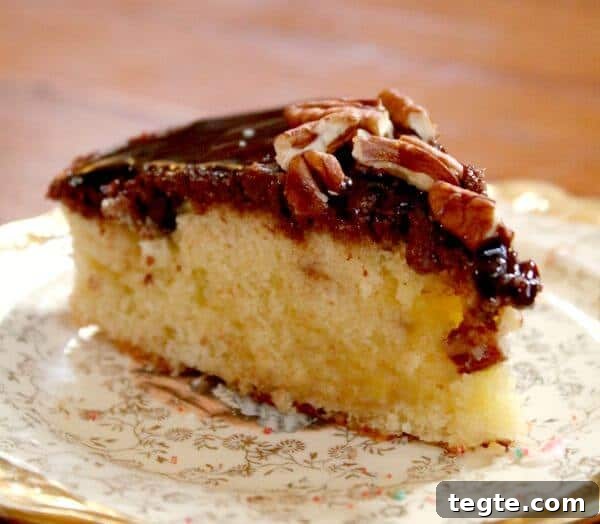 7-Day January Meal Plan: Simple Recipes for the New Year 12 Chocolate upside down cake makes its own fudge frosting. So easy and fast! RestlessChipotle.com
