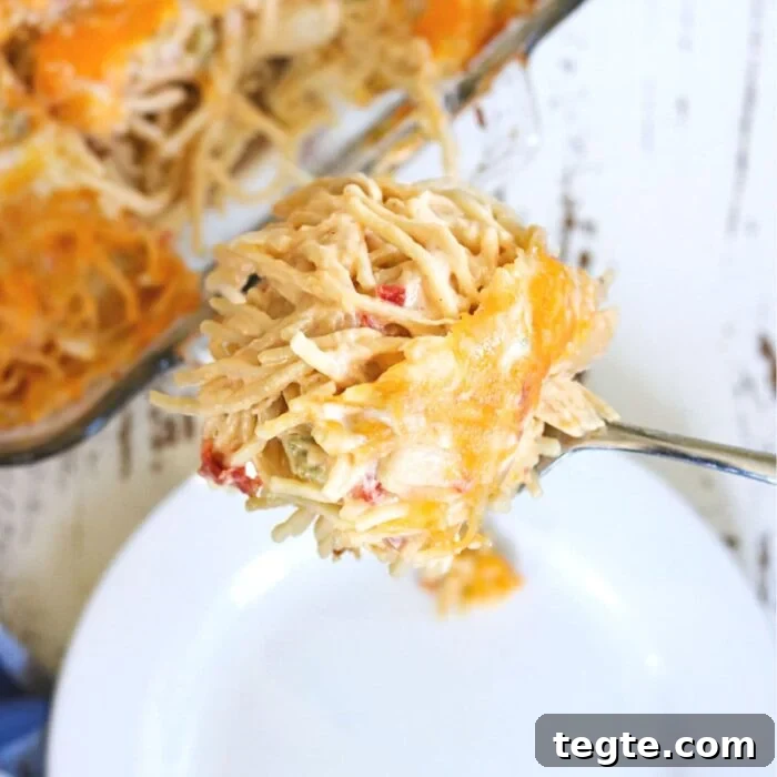 7-Day January Meal Plan: Simple Recipes for the New Year 13 Serving of chicken spaghetti being placed on a plate.
