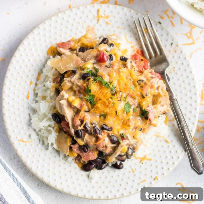 7-Day January Meal Plan: Simple Recipes for the New Year 19 Overhead shot of finished fiesta chicken on a white plate with a fork to the side. Feature Image.
