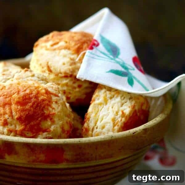 7-Day January Meal Plan: Simple Recipes for the New Year 8 Quick and easy cheddar cheese biscuits are fluffy and addictive! From restlesschipotle.com