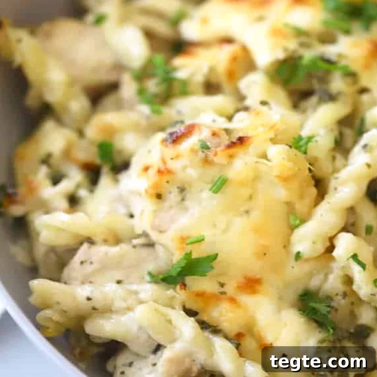 Chicken Pesto Pasta Recipe
