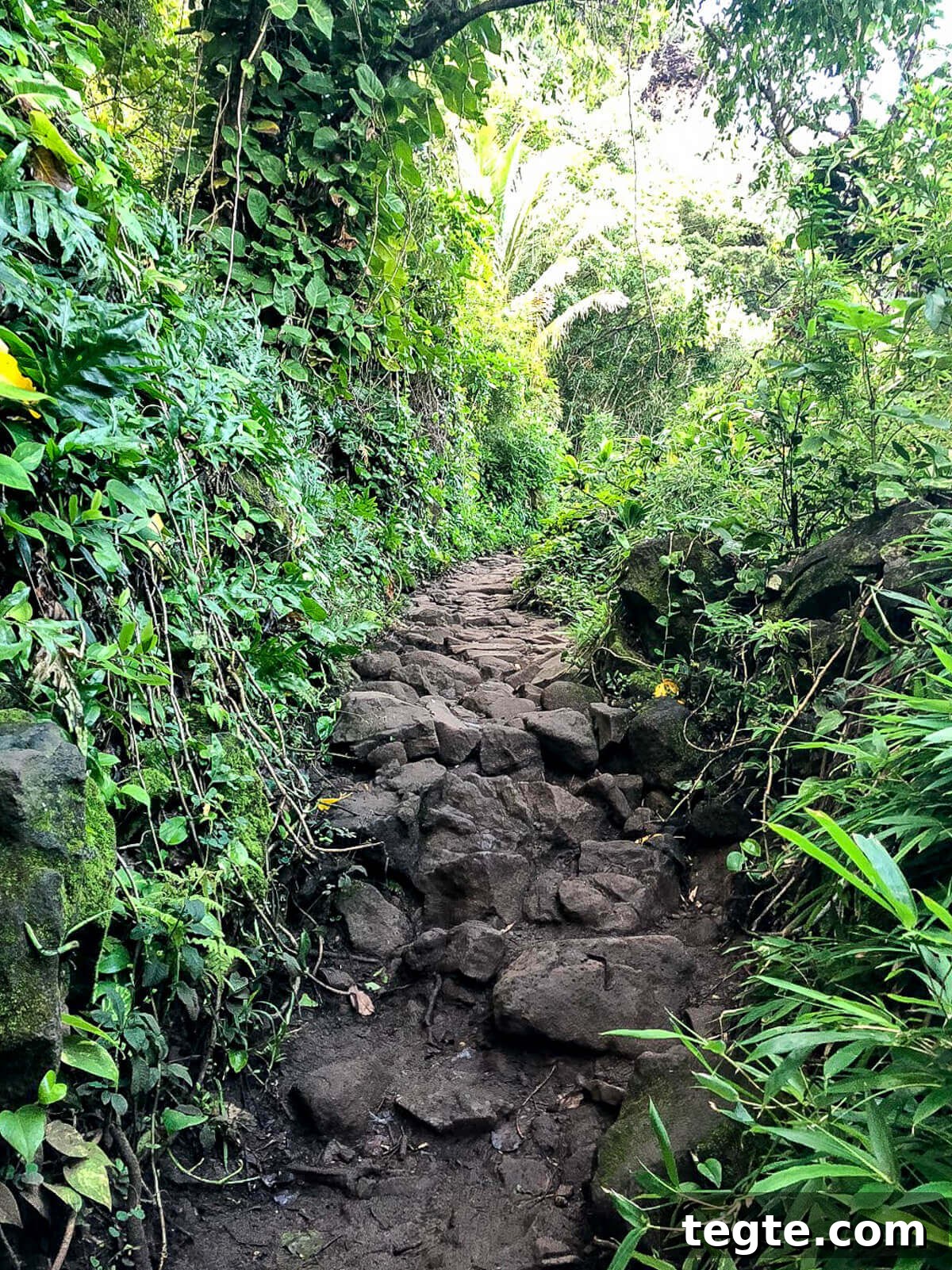 Top 10 Must-Do Activities in Kauai, Hawaii 3 things to do on Kauai