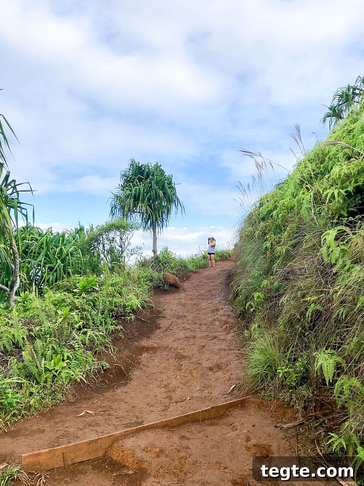 Top 10 Must-Do Activities in Kauai, Hawaii 9 things to do in kauai