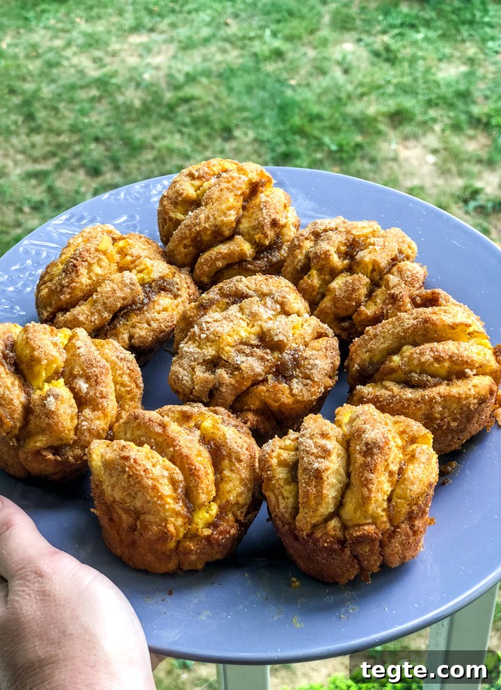 Pumpkin Pie Pull Apart Muffins Pumpkin Pie Pull Apart Muffins