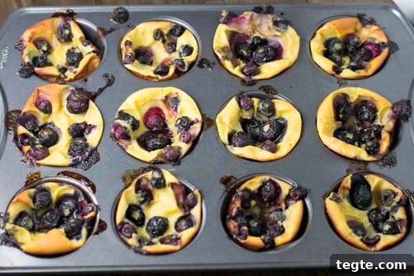 Mini Blueberry Dutch Baby Pancakes: Fluffy Individual Recipes 5 Mini Blueberry Dutch Babies