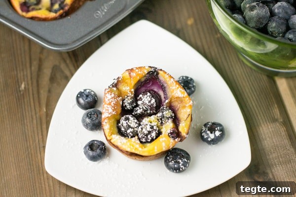 Mini Blueberry Dutch Baby Pancakes: Fluffy Individual Recipes 6 Mini Blueberry Dutch Babies