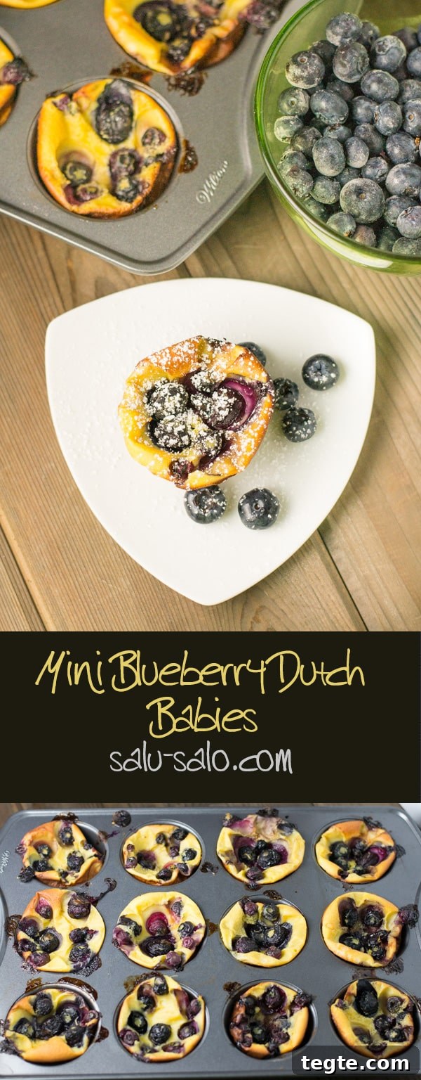 Mini Blueberry Dutch Baby Pancakes: Fluffy Individual Recipes 9 Mini Blueberry Dutch Babies