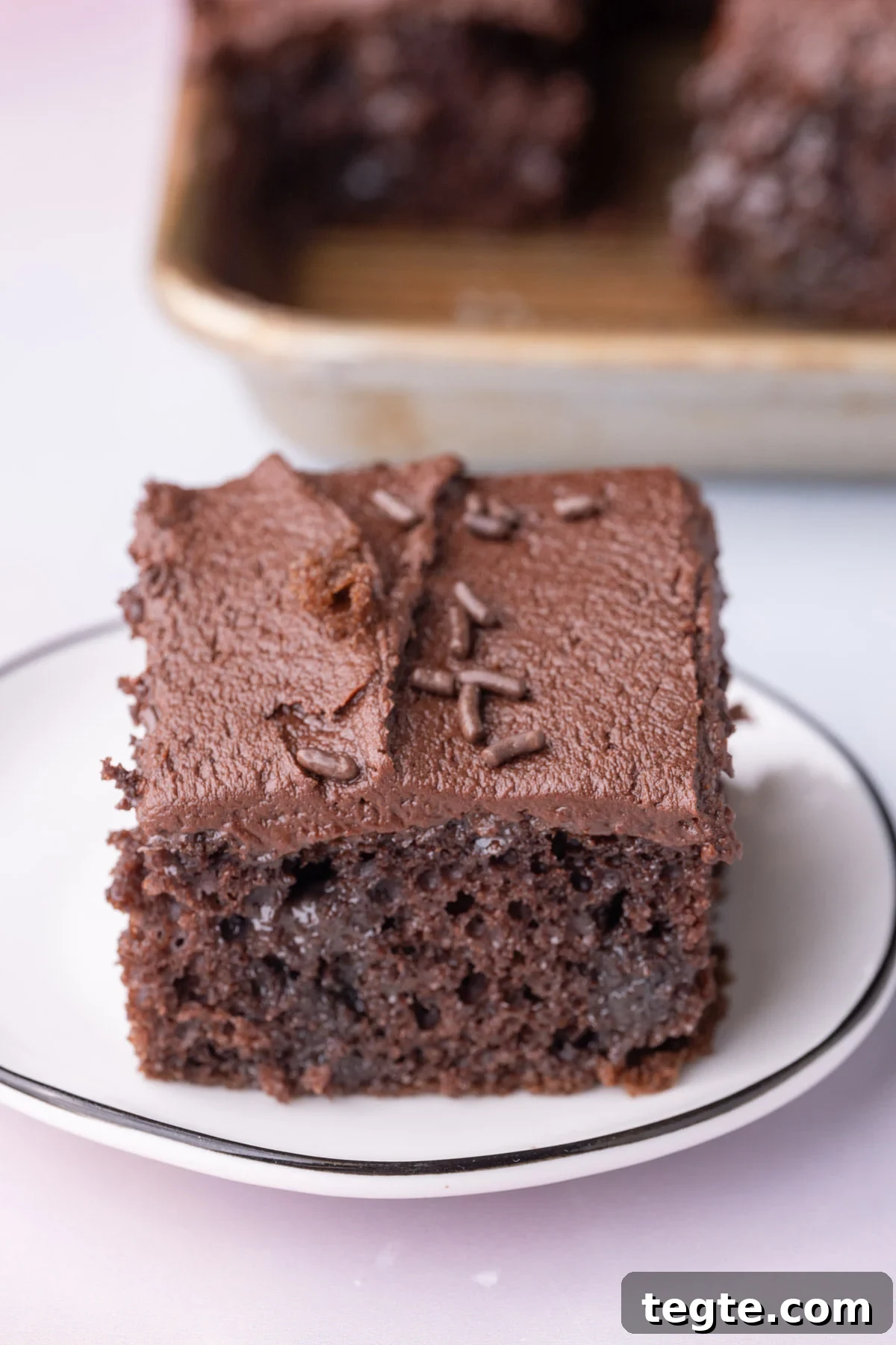 Close up of a slice of chocolate poke cake with condensed milk to show moist, chocolaty texture.