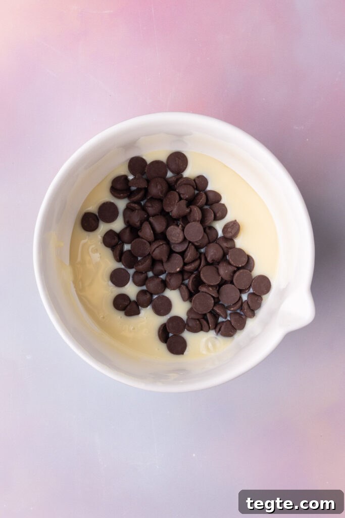 Condensed milk and chocolate chips together in a microwave-safe bowl.