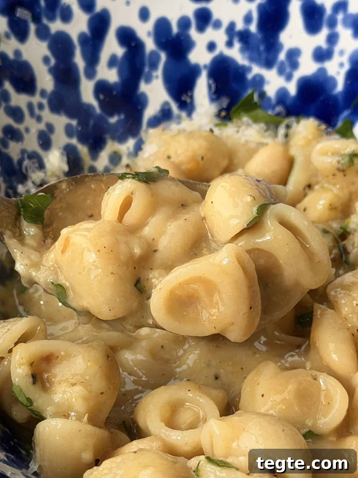 One-Pot Italian Pasta e Fagioli Soup Recipe 4 Served Pasta e Fagioli