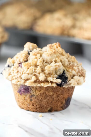 A freshly baked muffin with a streusel topping and blueberries.