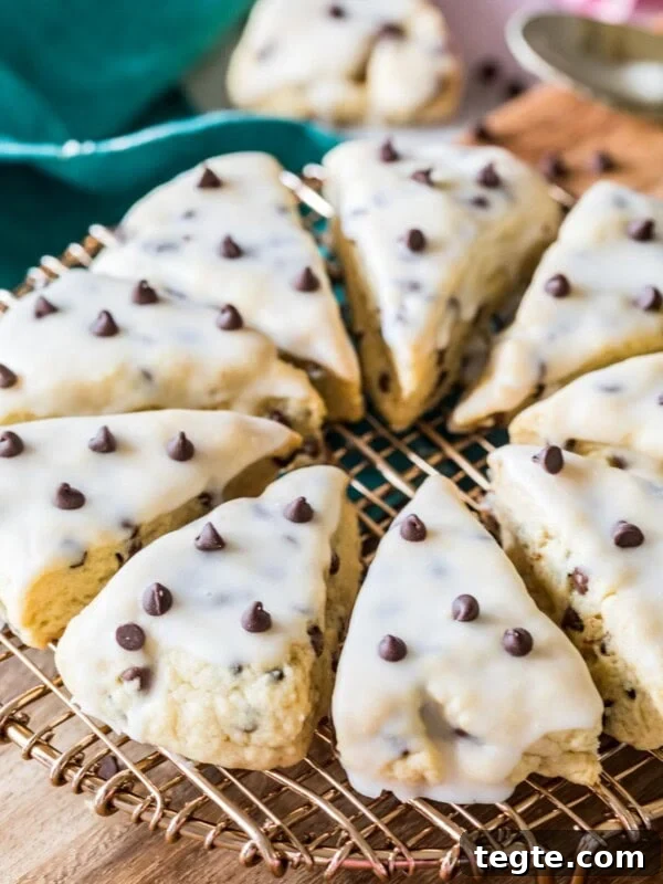 Triangular chocolate chip scones arranged in a circle on a cooling rack.