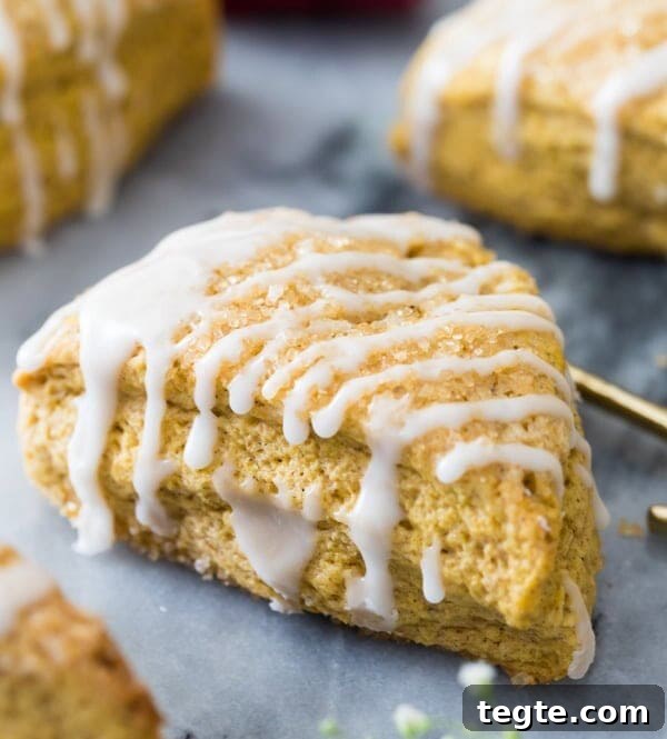 Pumpkin scone with icing drizzle
