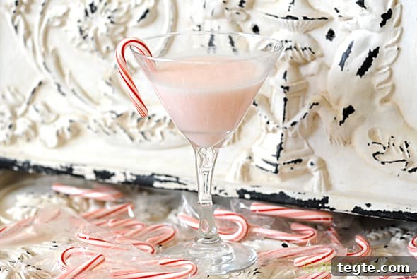 Holiday Cocktails from Zestuous