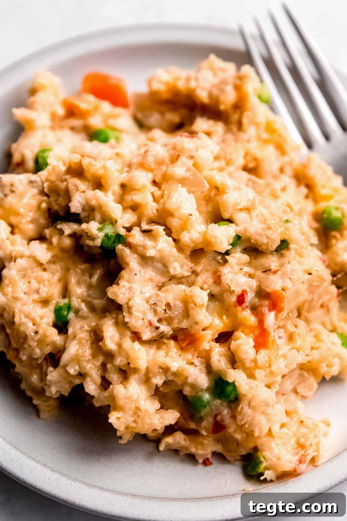 white plate filled with a heaping serving of juicy chicken and brown rice with veggies