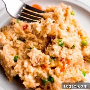 a forkful of creamy chicken and rice with melty cheese