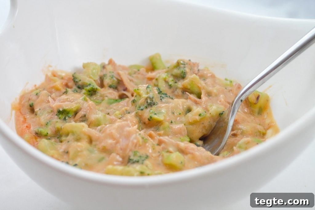 Broccoli and Cheddar Tuna Bake with Creamy Sauce 2 Healthy Broccoli & Cheese Tuna Meal