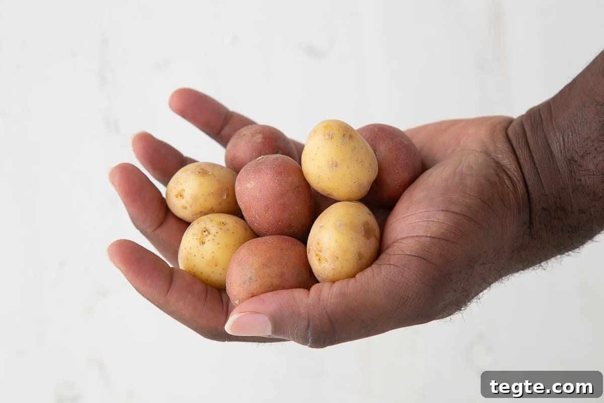 Creamy Mashed Potato Casserole Without Peeling Potatoes 3 hand holding small yellow and red potatoes.