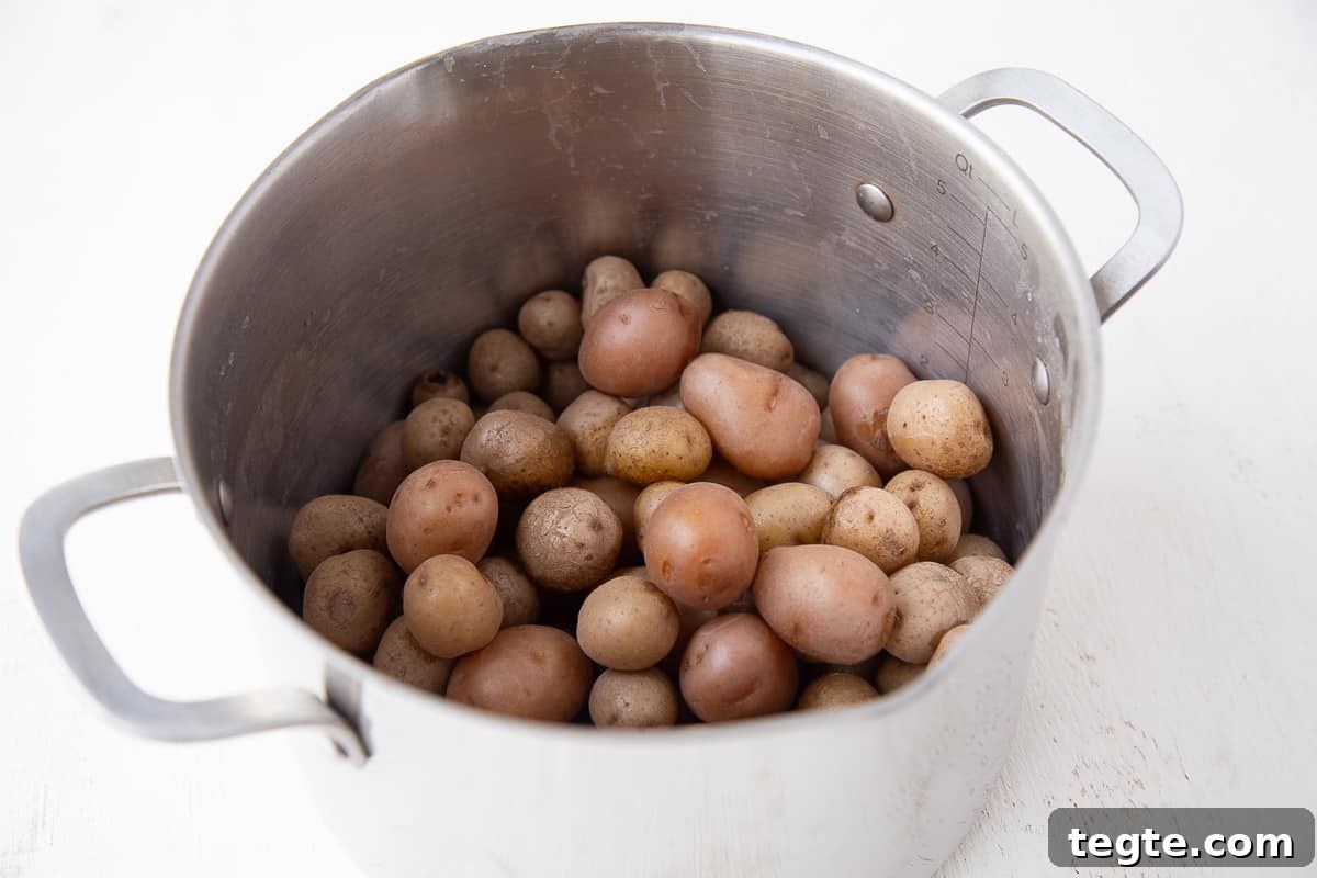 Creamy Mashed Potato Casserole Without Peeling Potatoes 6 cooked little potatoes in a large stockpot.