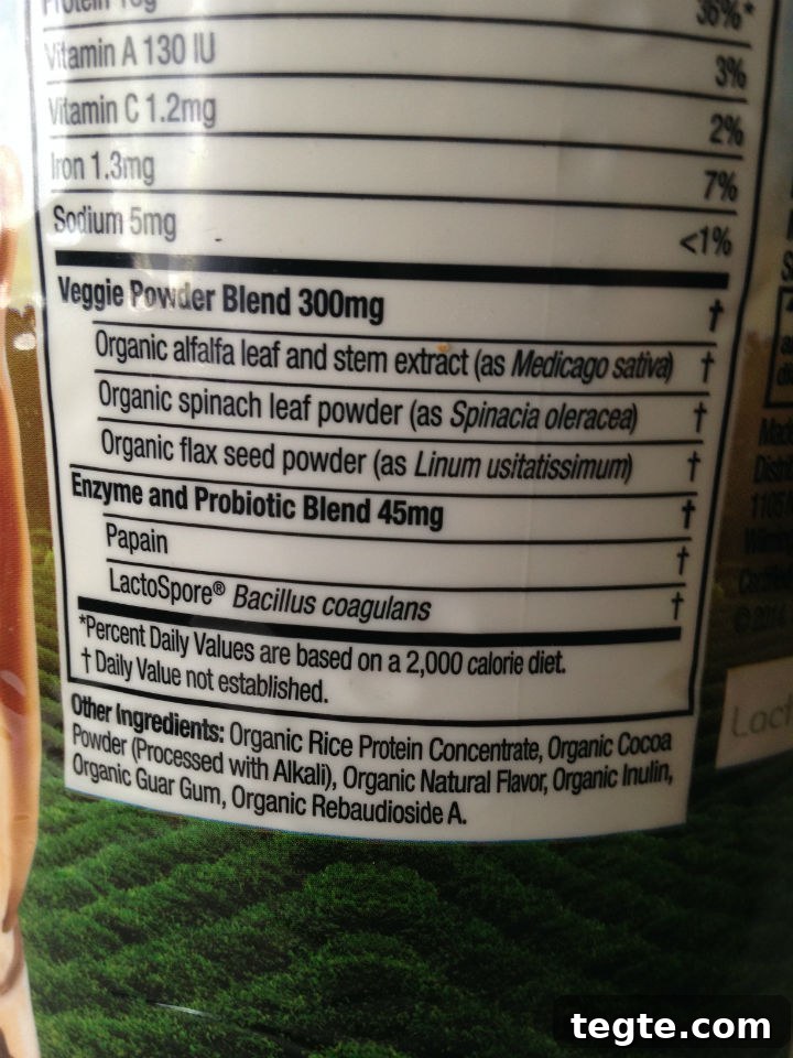 Nature Plant Protein Powder Ingredients