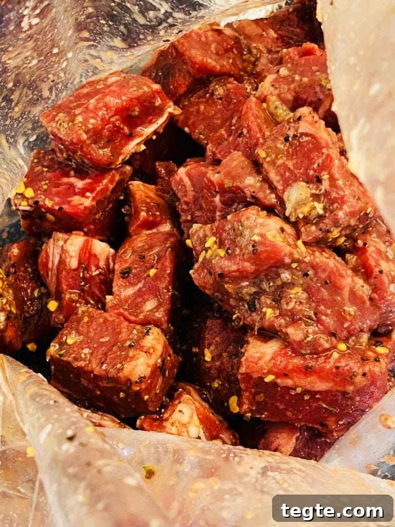 Blackstone Surf-and-Turf Quesadillas: Steak & Shrimp Grilled on a Flat Top 2 seasoned steak in a bag