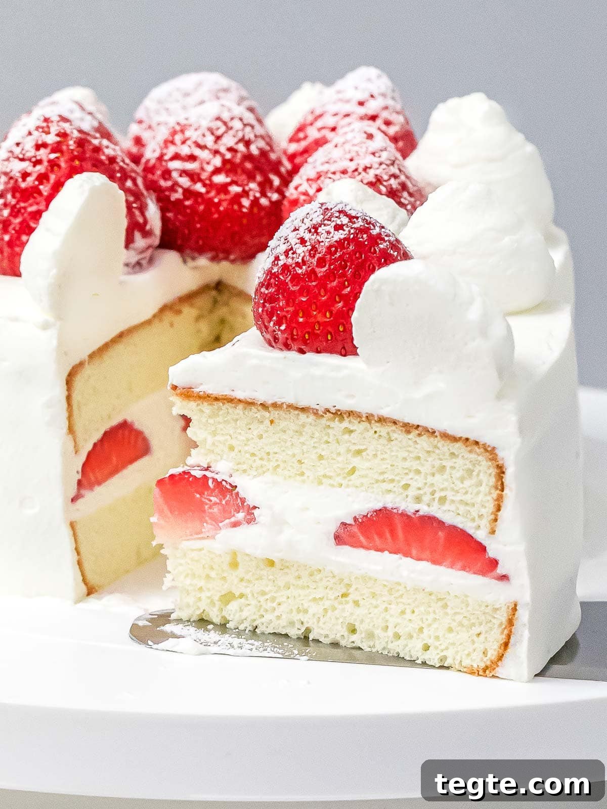 Authentic Japanese Strawberry Shortcake Recipe — Fluffy, Light Slice 2 close up of a slice of layered Japanese strawberry shortcake decorated with whole strawberries dusted with powdered sugar