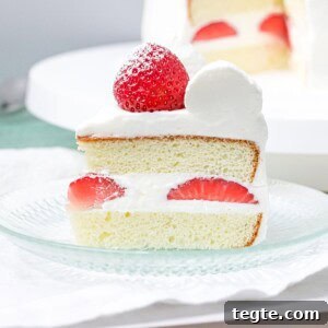 Authentic Japanese Strawberry Shortcake Recipe — Fluffy, Light Slice 18 close up of slice of Japanese strawberry shortcake with whipped cream frosting on a glass plate