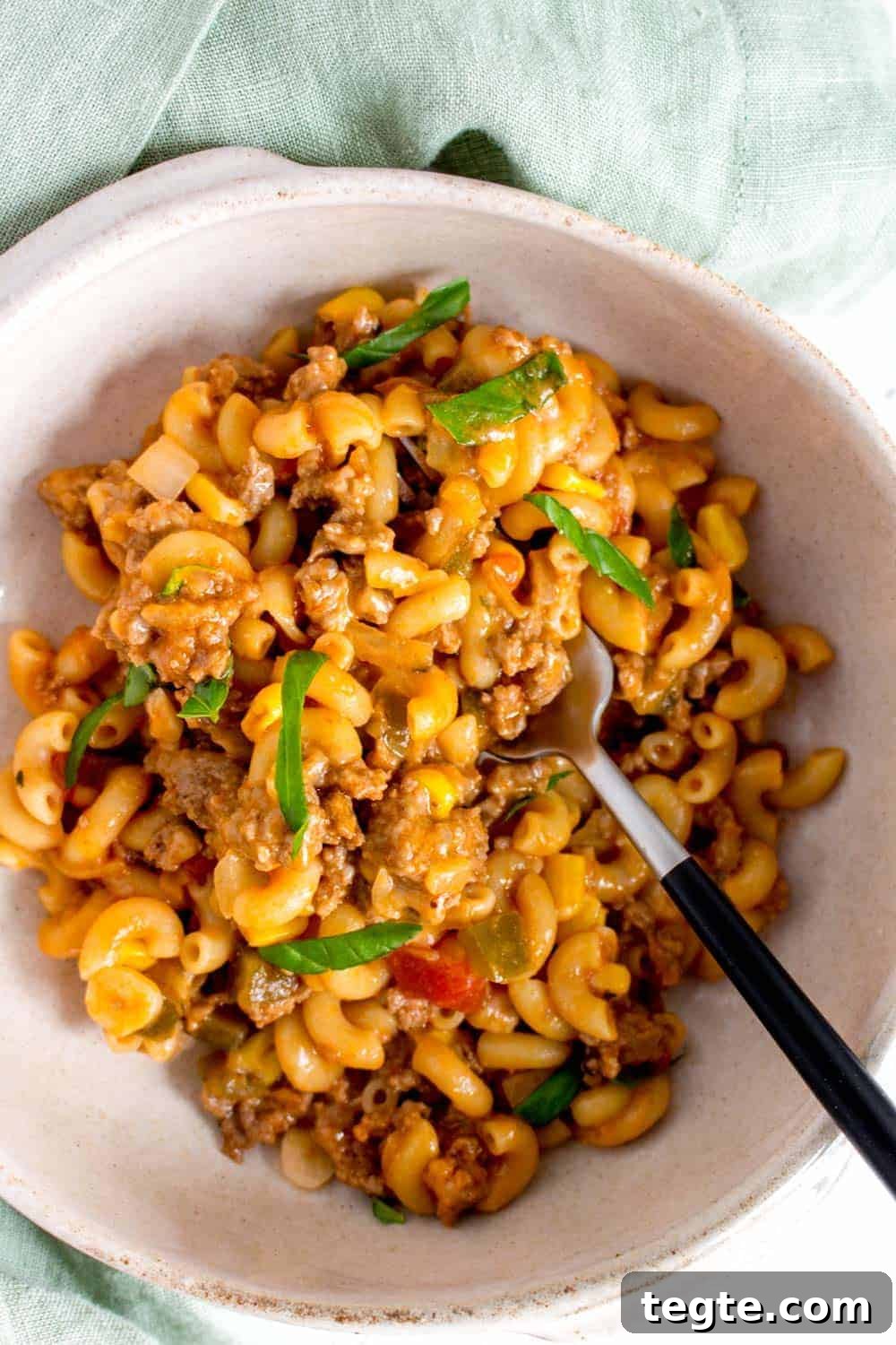 A bowl of salsa beef pasta.