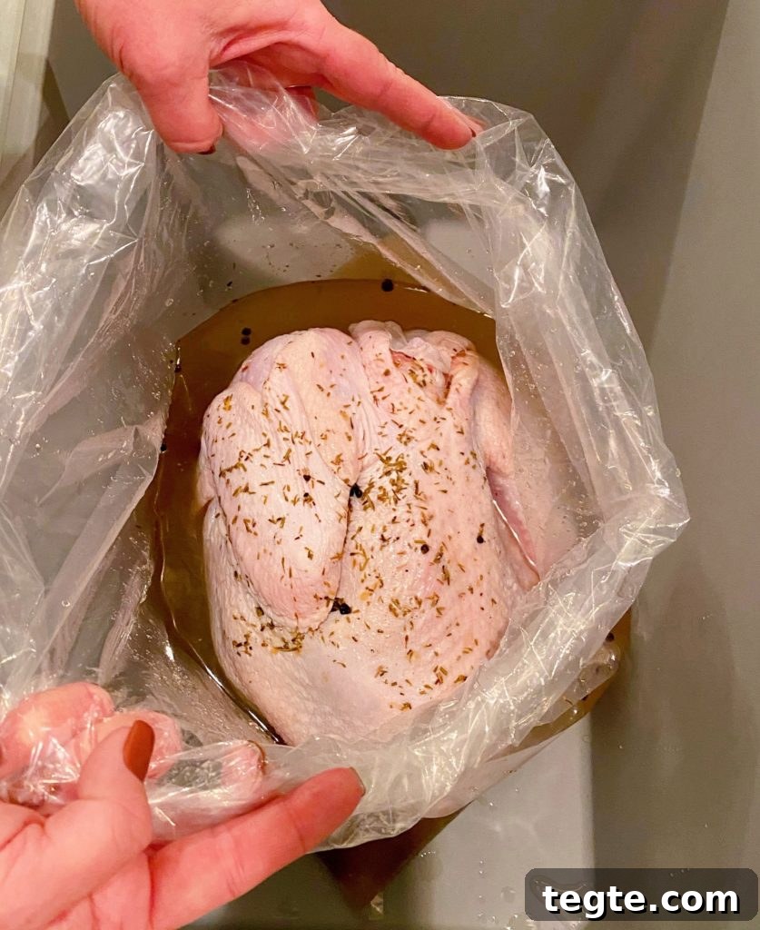 Perfect Roast Thanksgiving Turkey Recipe 7 Turkey in a brining bag with brine.