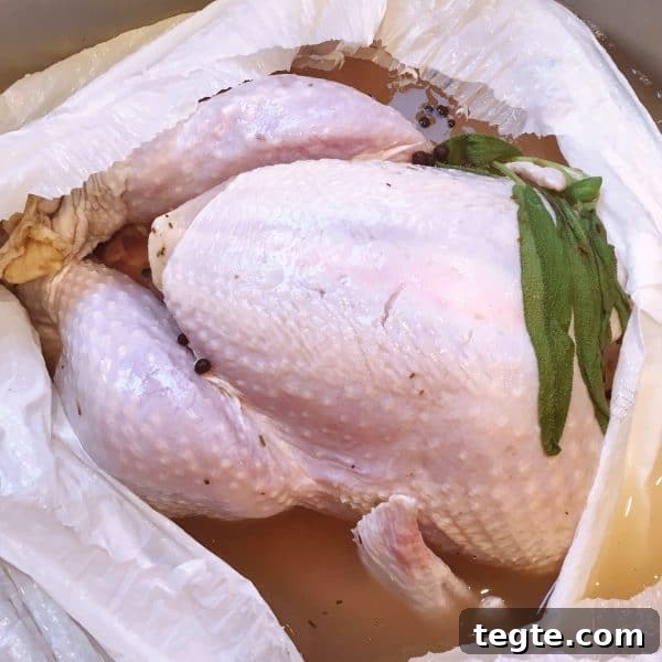 Perfect Roast Thanksgiving Turkey Recipe 9 Removing Turkey from Brine Bag