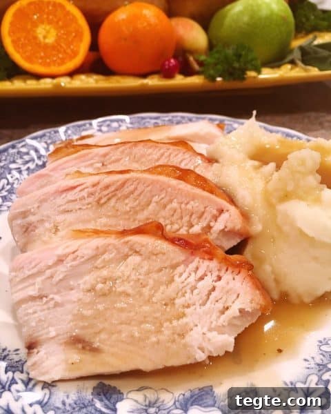 Perfect Roast Thanksgiving Turkey Recipe 3 Thick Slices of Turkey Breast meat with gravy