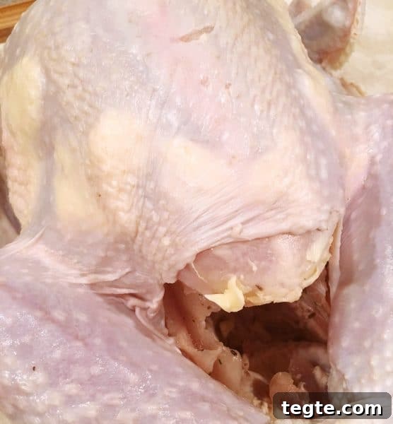Perfect Roast Thanksgiving Turkey Recipe 12 Butter under skin of Turkey Breast