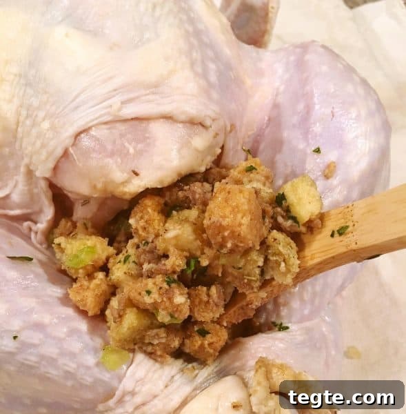 Perfect Roast Thanksgiving Turkey Recipe 13 Stuffing Stomach cavity of the Turkey