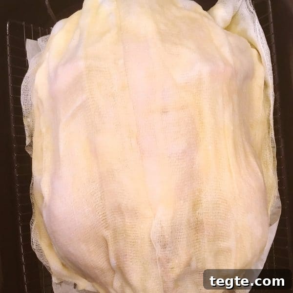 Perfect Roast Thanksgiving Turkey Recipe 17 Turkey covered in wine coated cheesecloth
