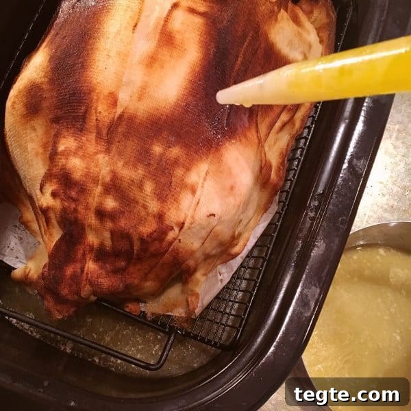 Perfect Roast Thanksgiving Turkey Recipe 18 Basting turkey with wine and butter