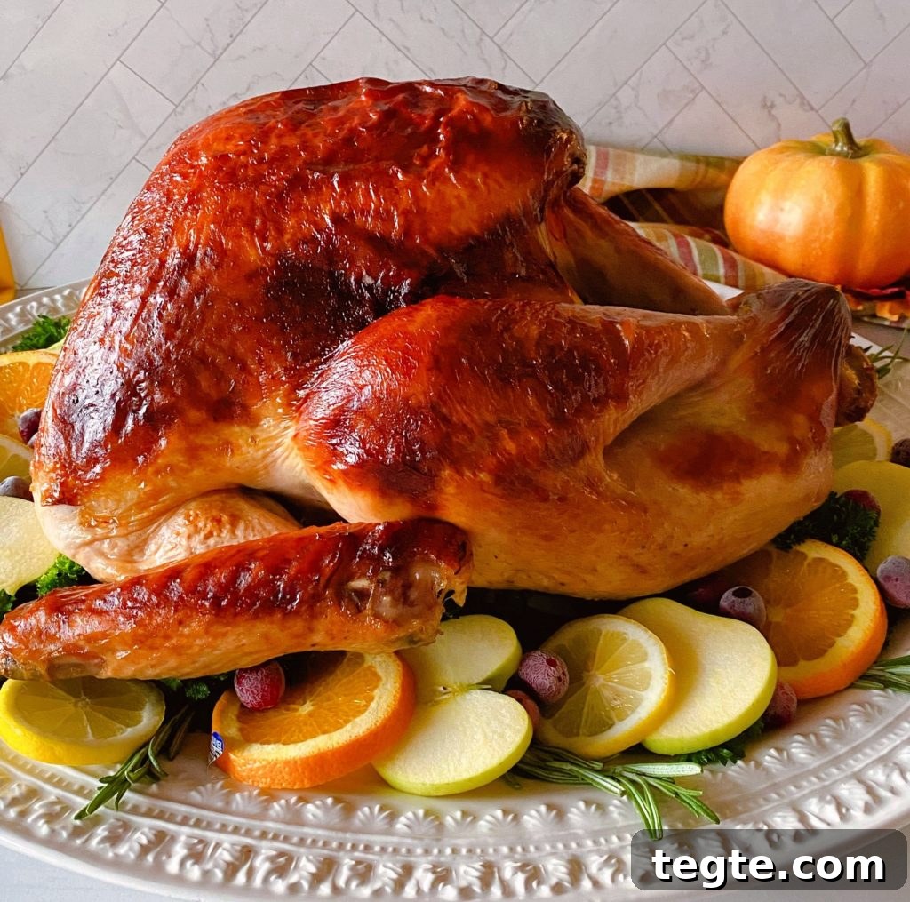Perfect Roast Thanksgiving Turkey Recipe 19 Side view of roasted Turkey on white platter.