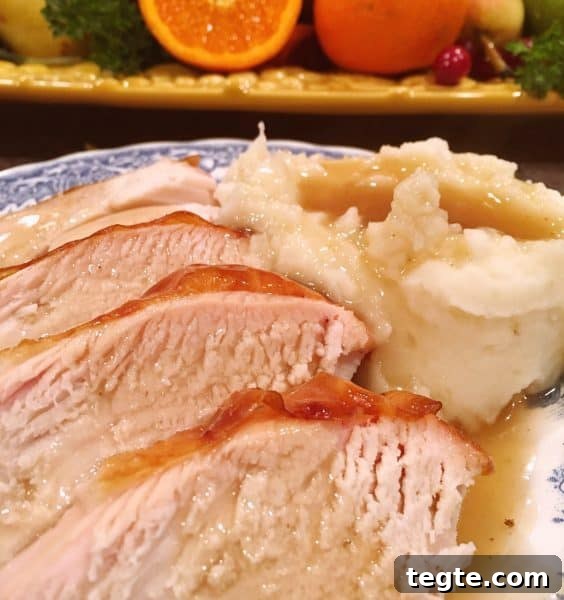 Perfect Roast Thanksgiving Turkey Recipe 21 Turkey Plated