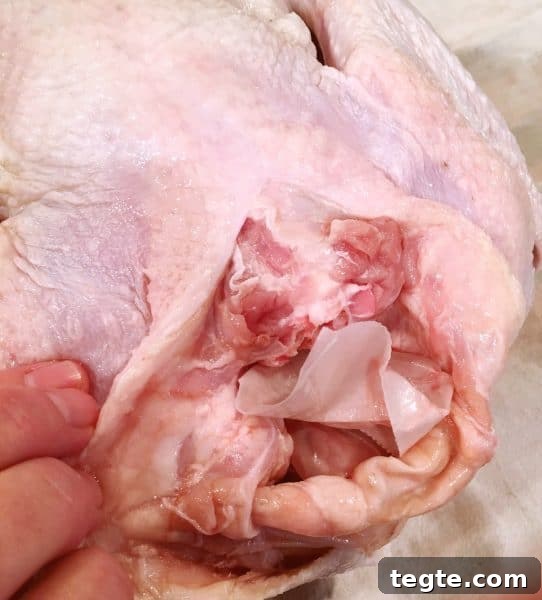 Perfect Roast Thanksgiving Turkey Recipe 6 Removing innards from Turkey
