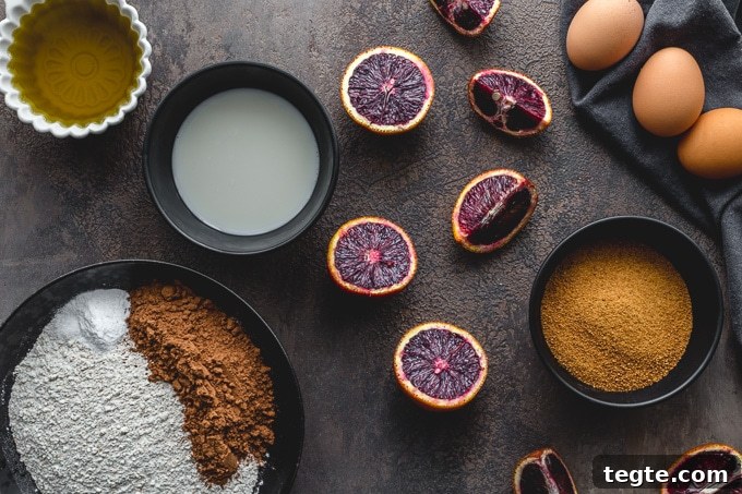 Dairy-Free Blood Orange Chocolate Cake Recipe 3 Ingredients to make blood orange chocolate cake.