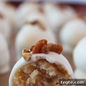 Pecan Sandies Truffles: Melt‑In‑Your‑Mouth Pecan Chocolate Truffles 12 img 8117 14